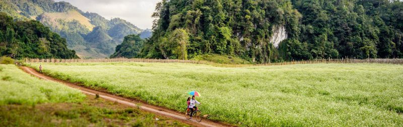 Tour Mộc châu 2 ngày nghỉ lễ - Khách sạn Mường Thanh